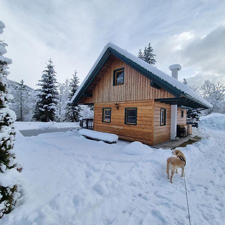 Chalet Am Teich Familie Gaenser Villa Feistritz am Kammersberg Bagian luar foto