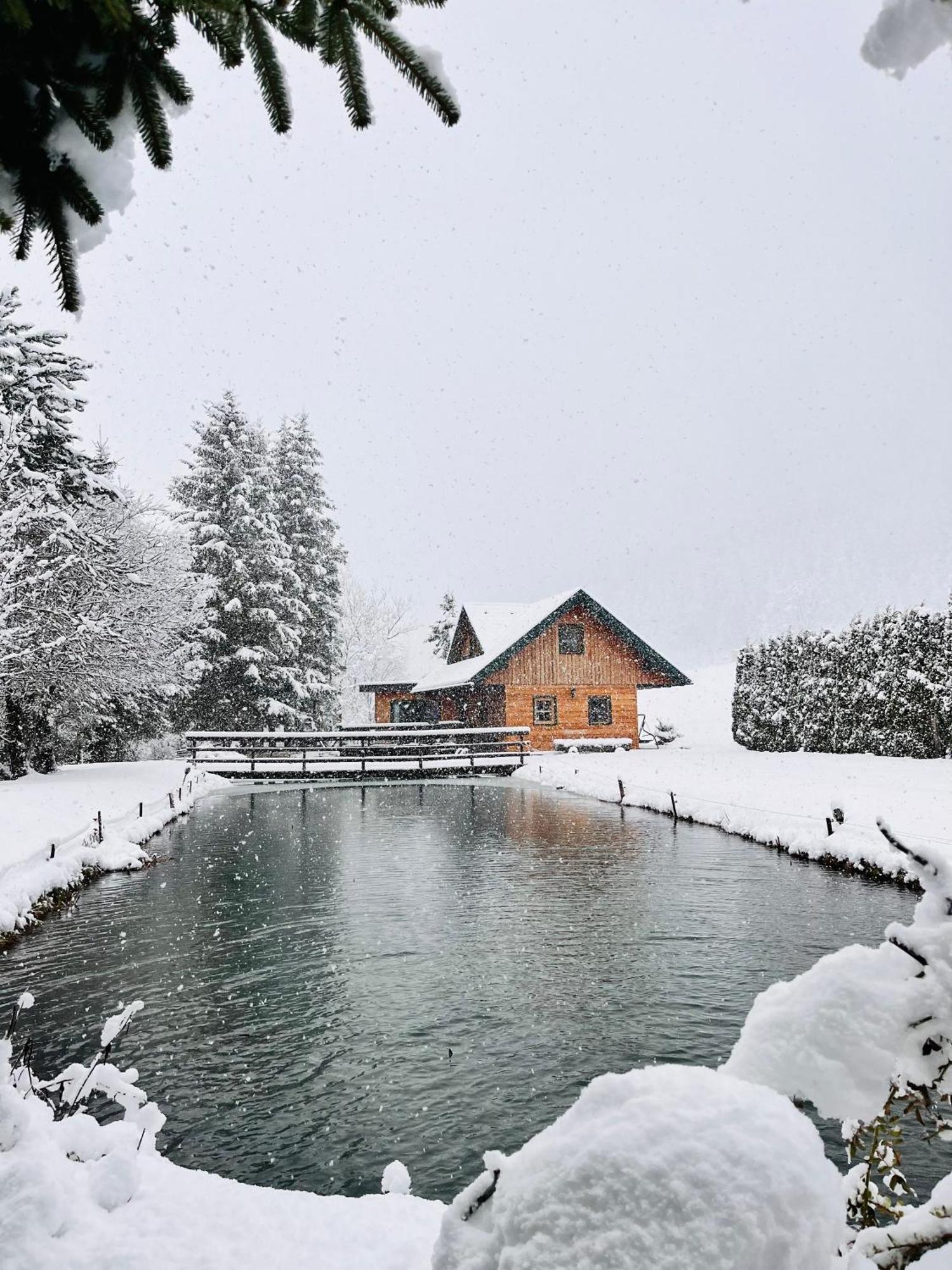 Chalet Am Teich Familie Gaenser Villa Feistritz am Kammersberg Bagian luar foto