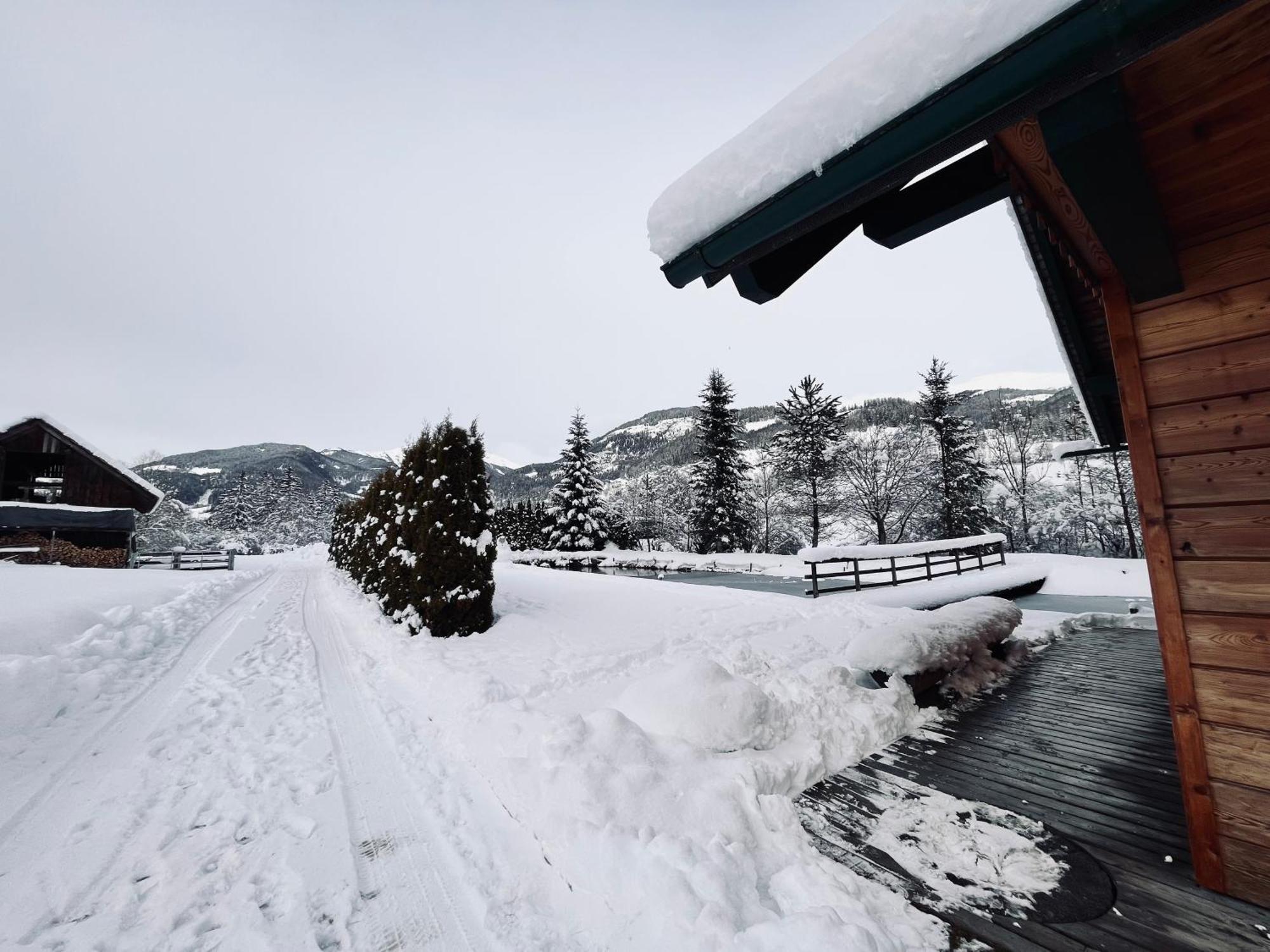 Chalet Am Teich Familie Gaenser Villa Feistritz am Kammersberg Bagian luar foto