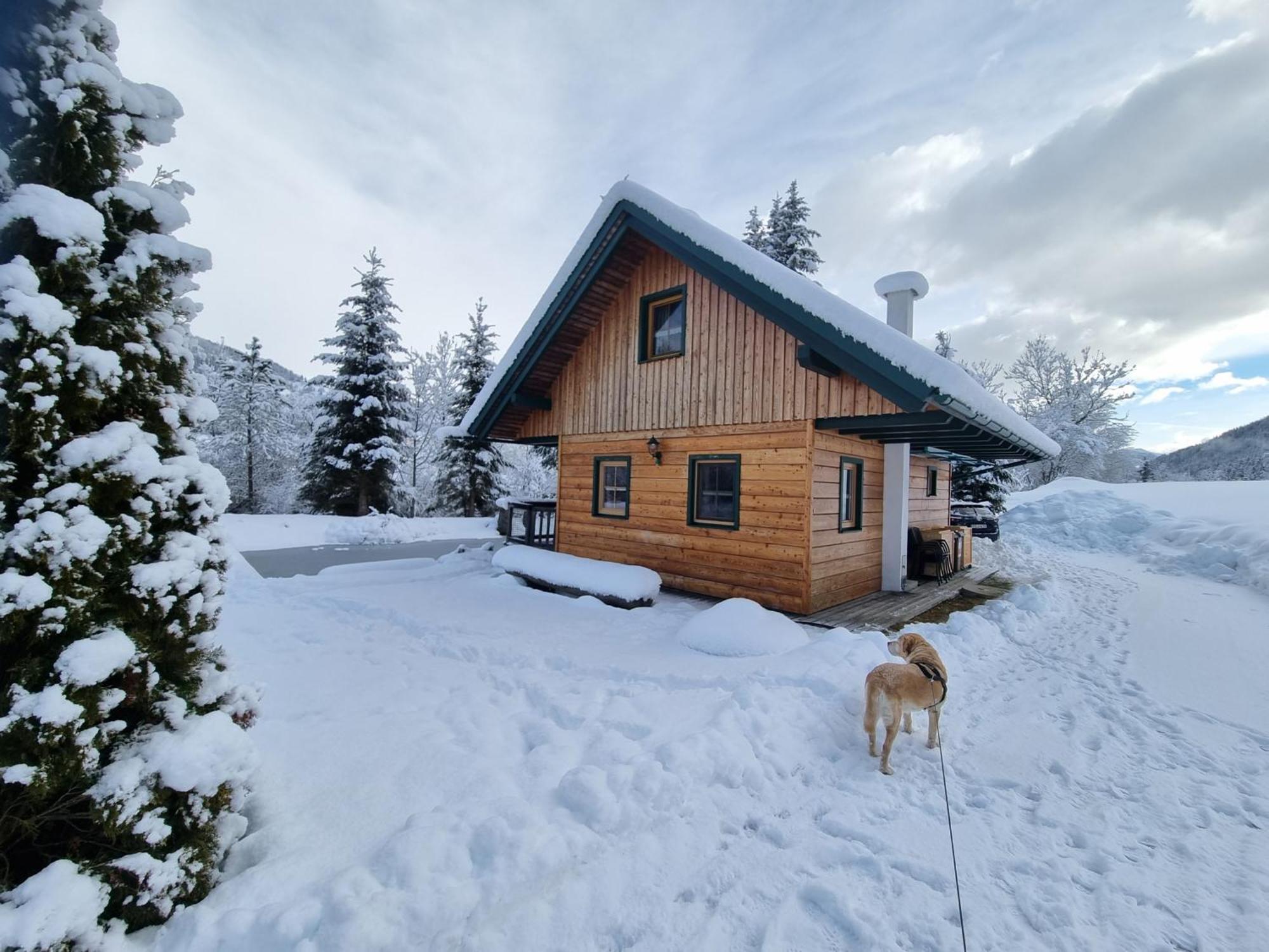 Chalet Am Teich Familie Gaenser Villa Feistritz am Kammersberg Bagian luar foto